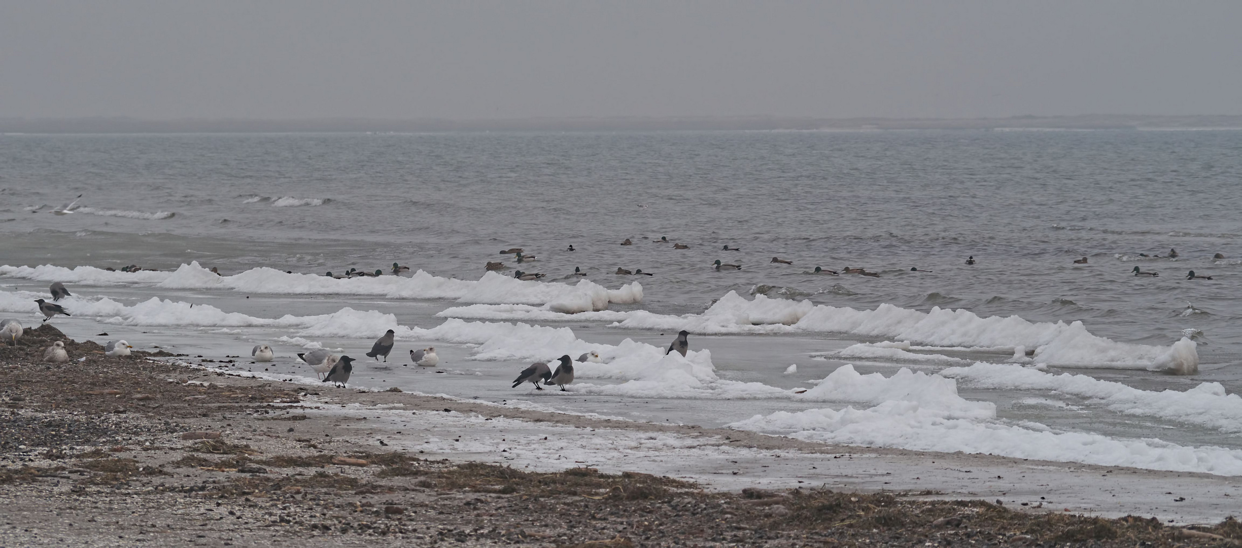 winterlicher Strand ...