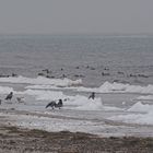 winterlicher Strand ...