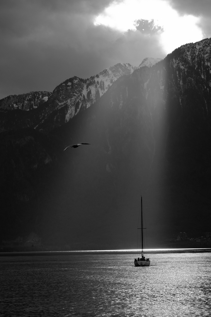 winterlicher Sunset auf dem Genfersee