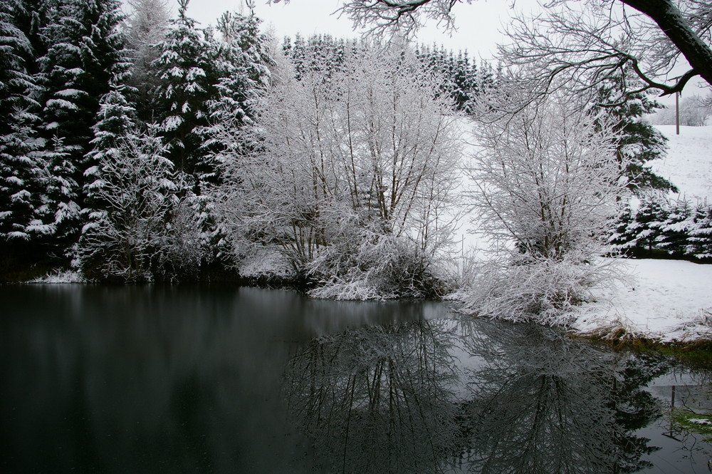 winterlicher Teich in Bärenstein/Osterzgebirge