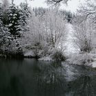 winterlicher Teich in Bärenstein/Osterzgebirge