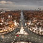 Winterlicher Tiergarten mit Skyline von Berlin