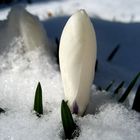 winterlicher Vorgeschmack - Aufnahme vom Frühjahr