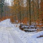 winterlicher Wald, 2 (bosque invernal, 2)