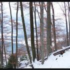 winterlicher wald