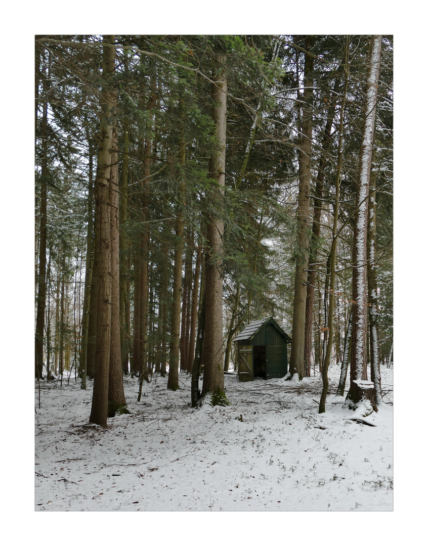 Winterlicher Wald