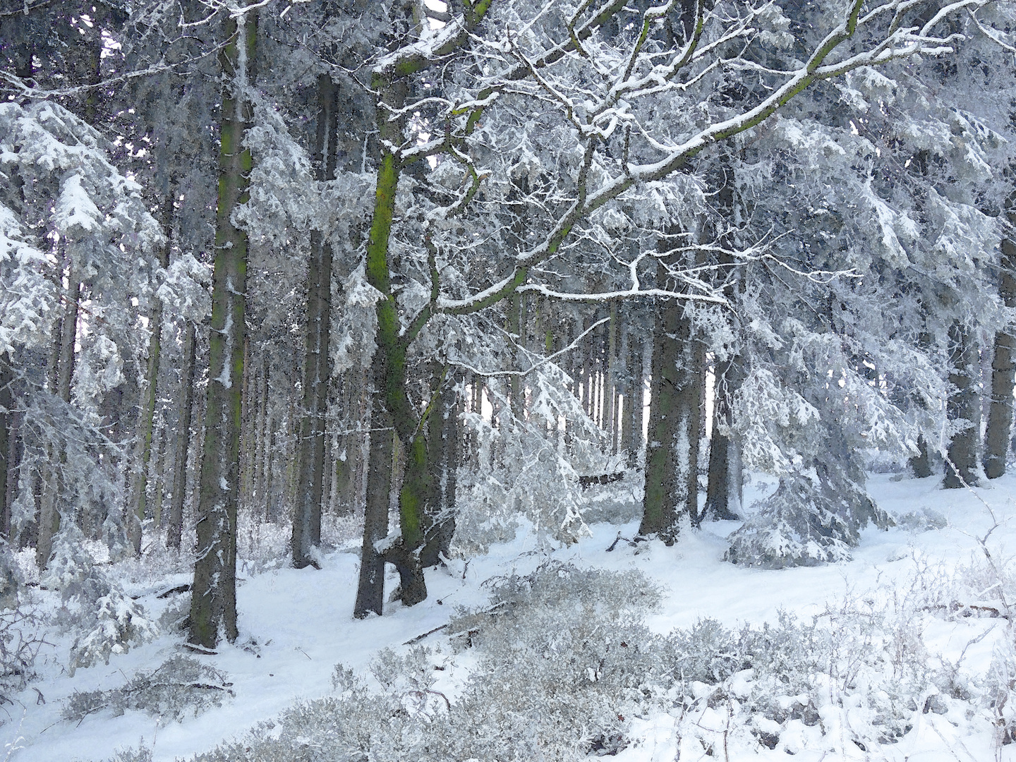 winterlicher Wald als gemalte Ansicht