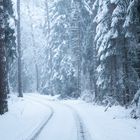 Winterlicher Waldweg