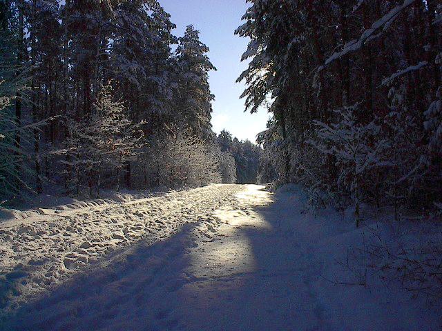 Winterlicher Waldweg