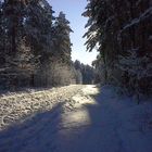 Winterlicher Waldweg