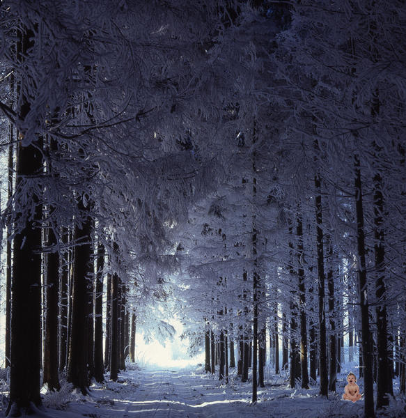 Winterlicher Waldweg mit (W)Findelkind