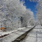 Winterlicher Wanderweg am Stünzel, Wittgenstein