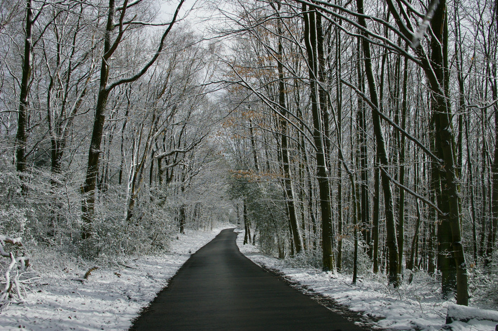 Winterlicher Weg