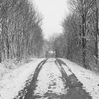 winterlicher weg