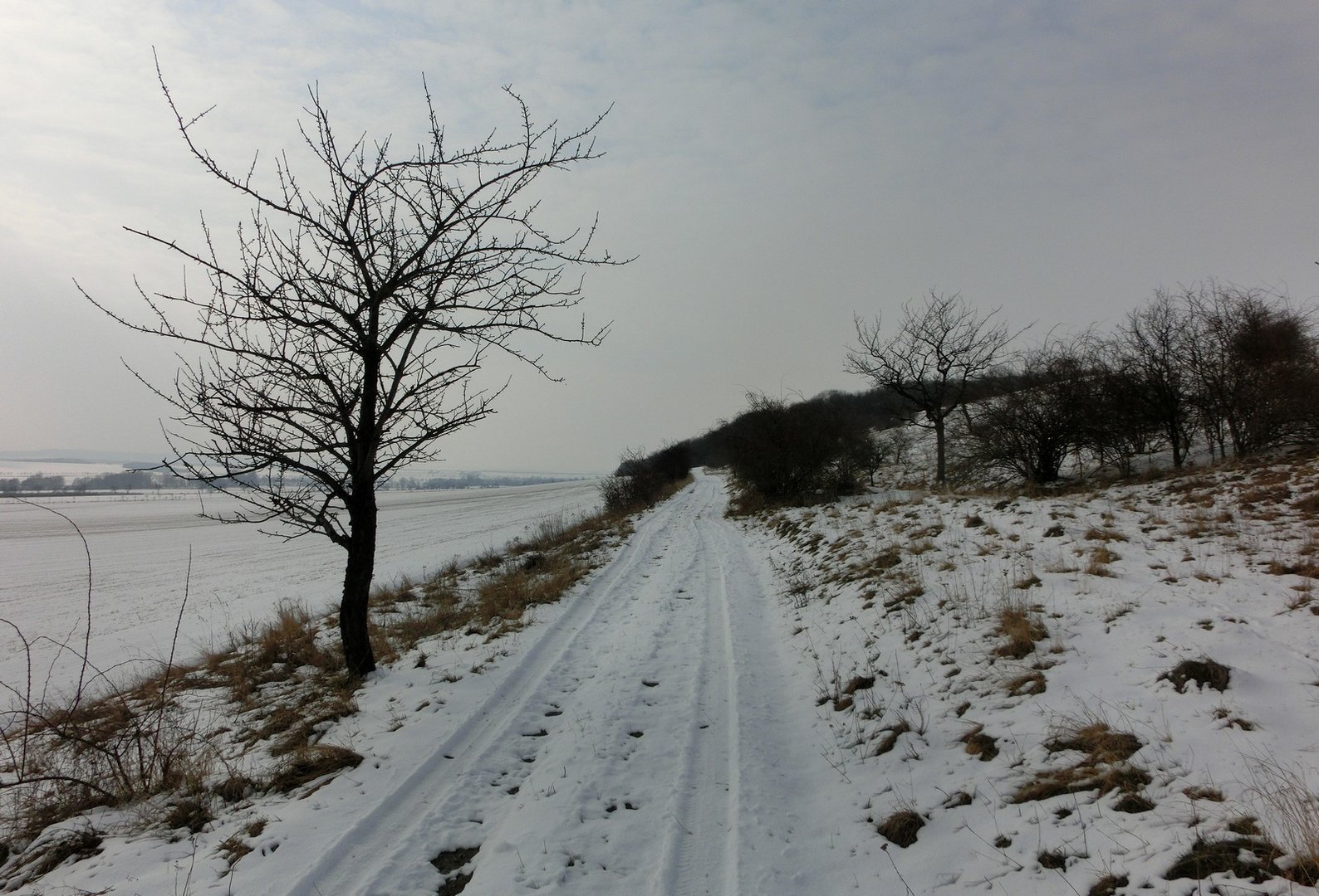 Winterlicher Weg