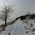 Winterlicher Weg