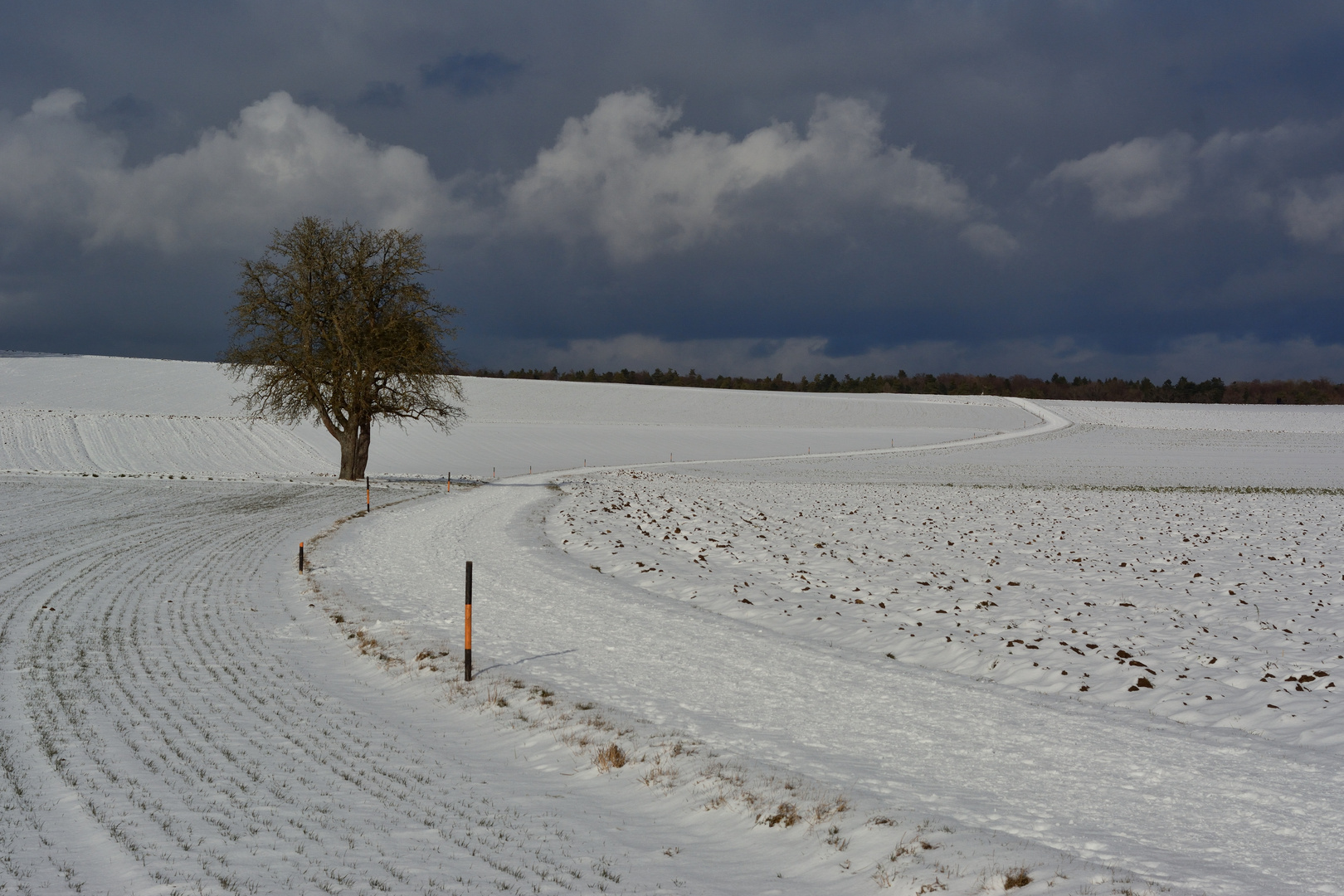 Winterlicher Weg