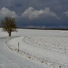 Winterlicher Weg