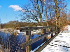 Winterlicher Weg ins Moor