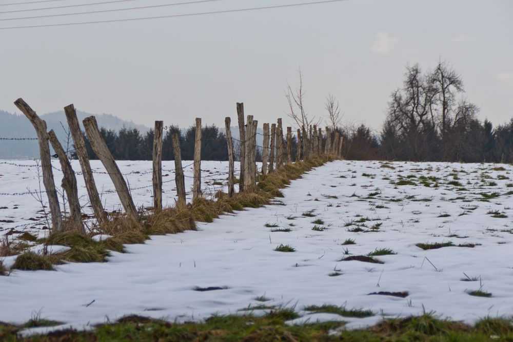 winterlicher Weidezaun