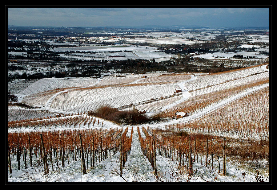 winterlicher Weitblick