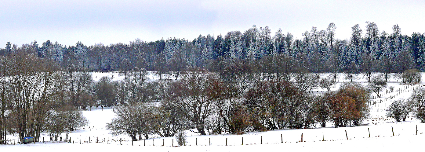 ...winterlicher Westerwald...