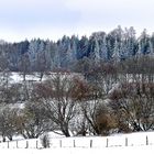 ...winterlicher Westerwald...