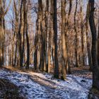 Winterlicher Wienerwald