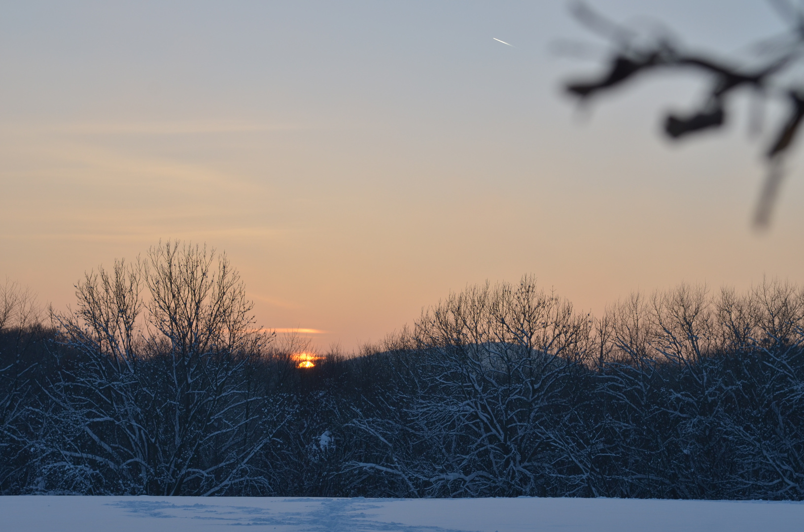 Winterlicher Wienerwald