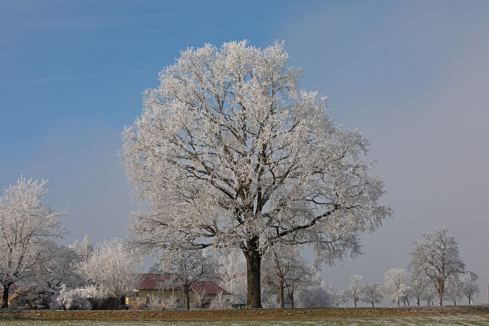 winterlicher Zauber