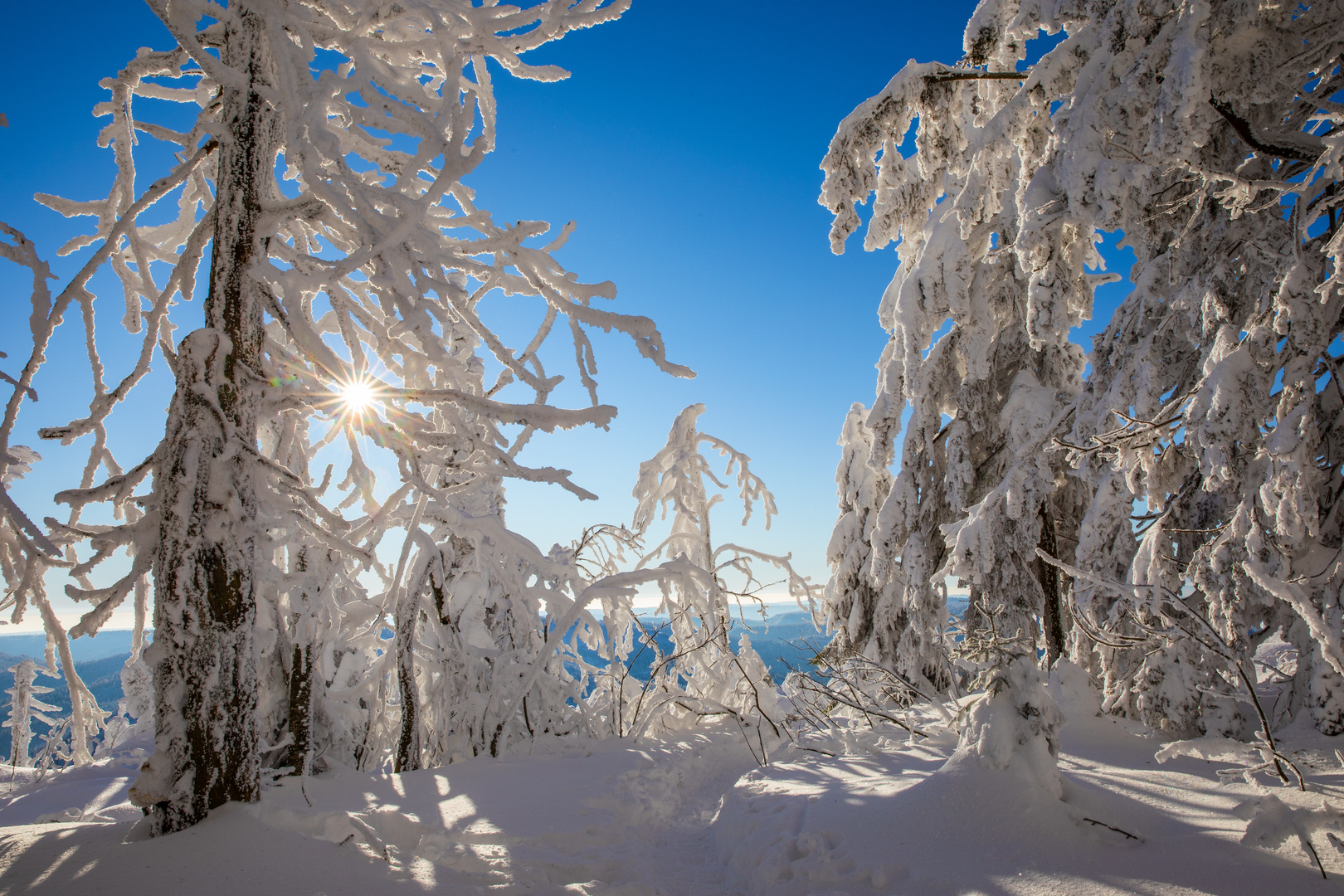 Winterlicher Zauberwald