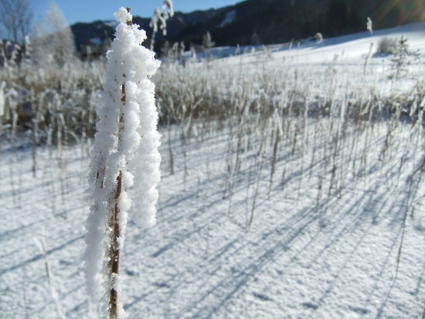 winterliches