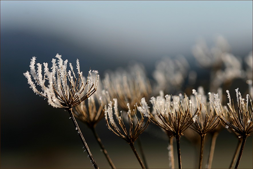 winterliches