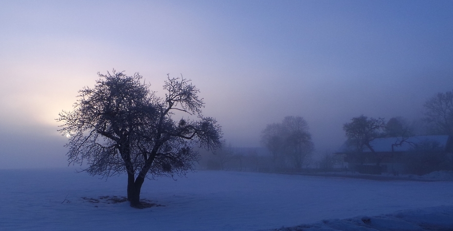 Winterliches