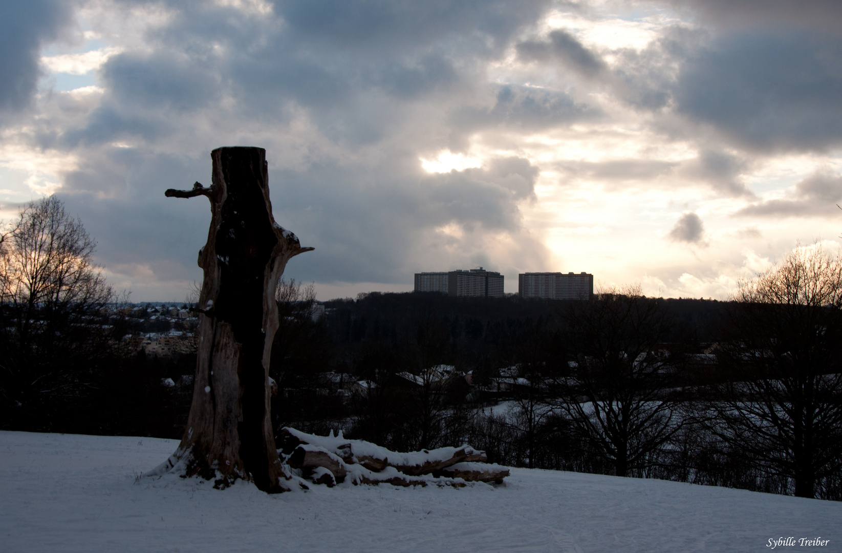 Winterliches Abendlicht