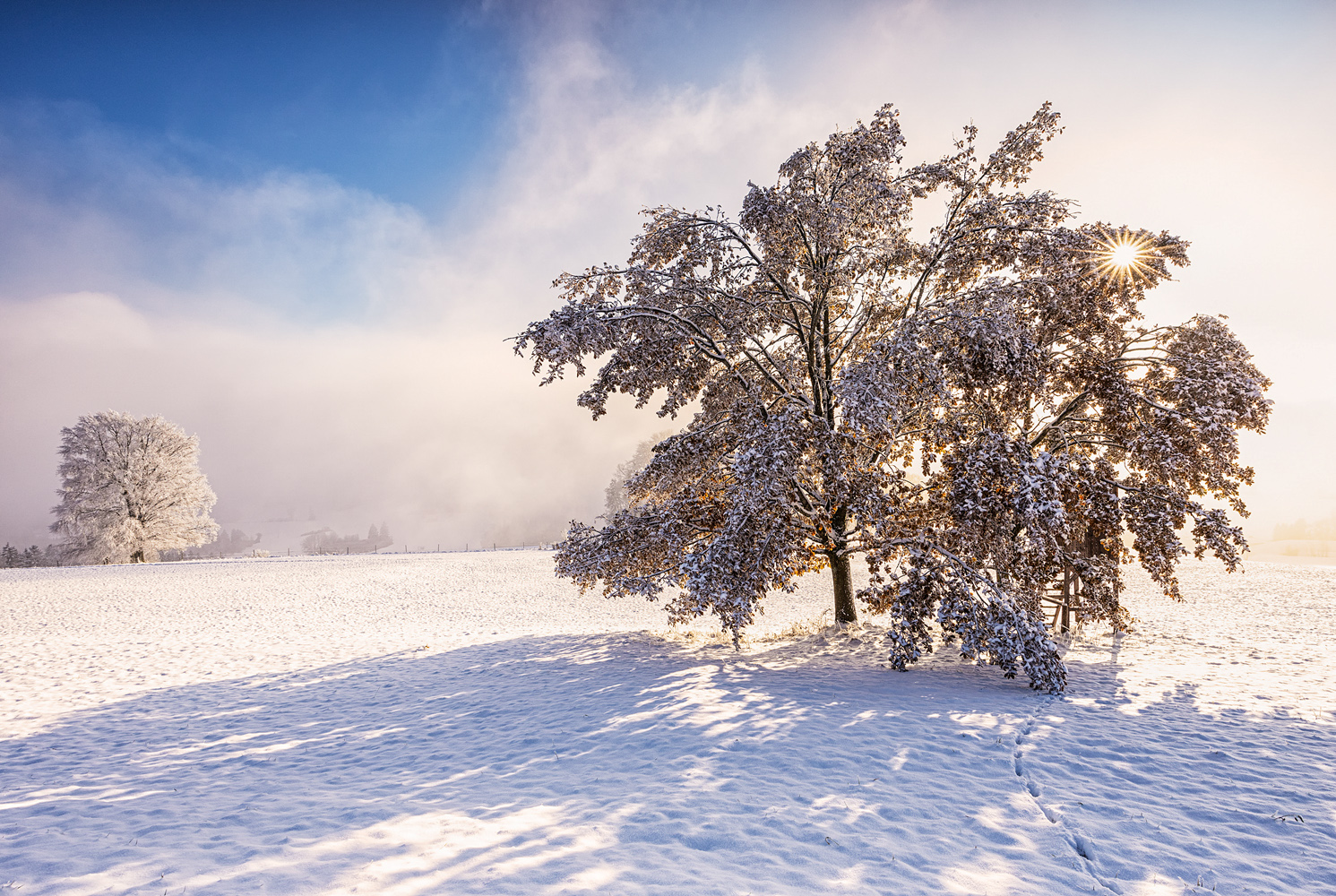 winterliches abendlicht