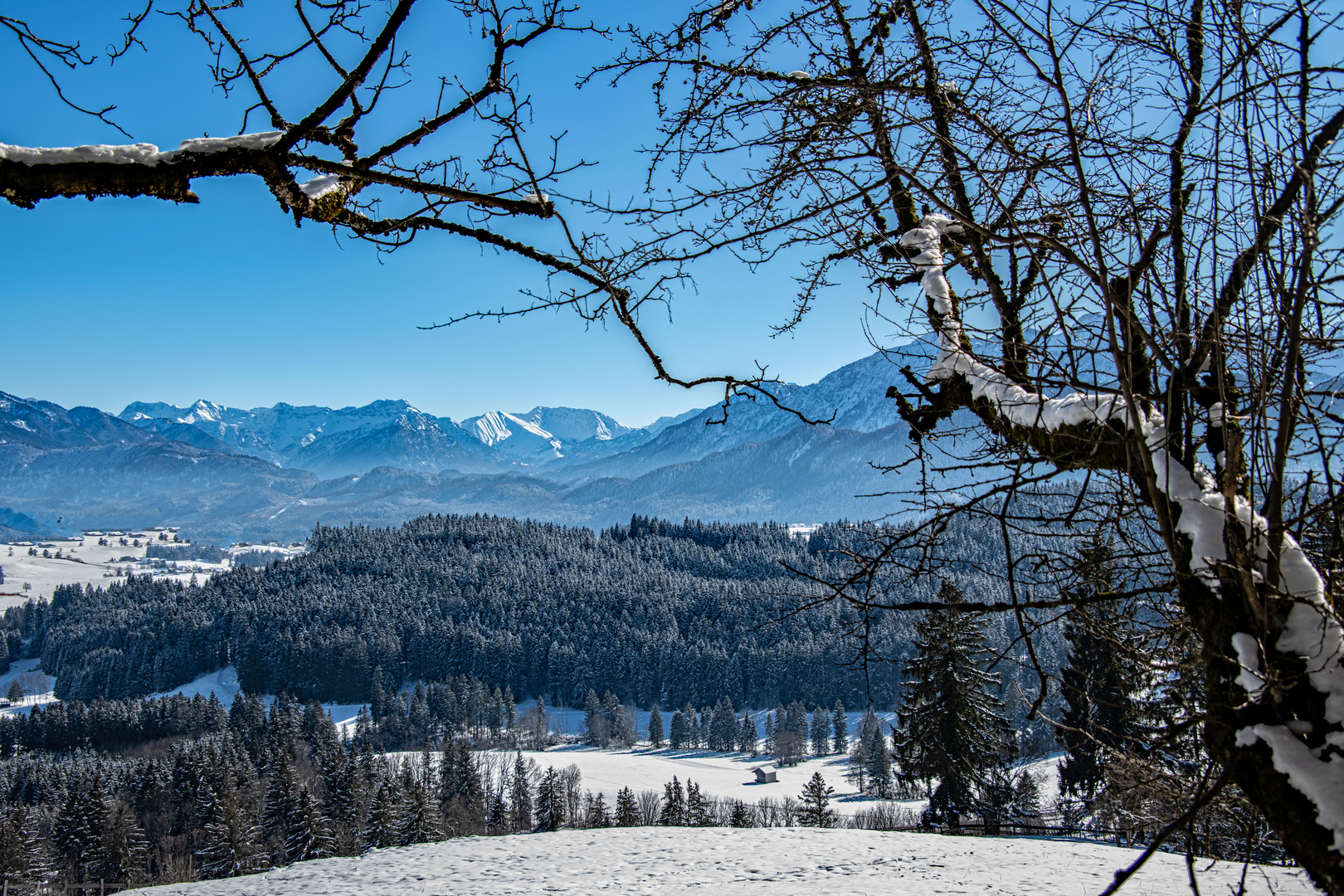 Winterliches Allgäu