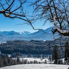 Winterliches Allgäu