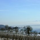 Winterliches Alpenpanorama am Bodensee 2010