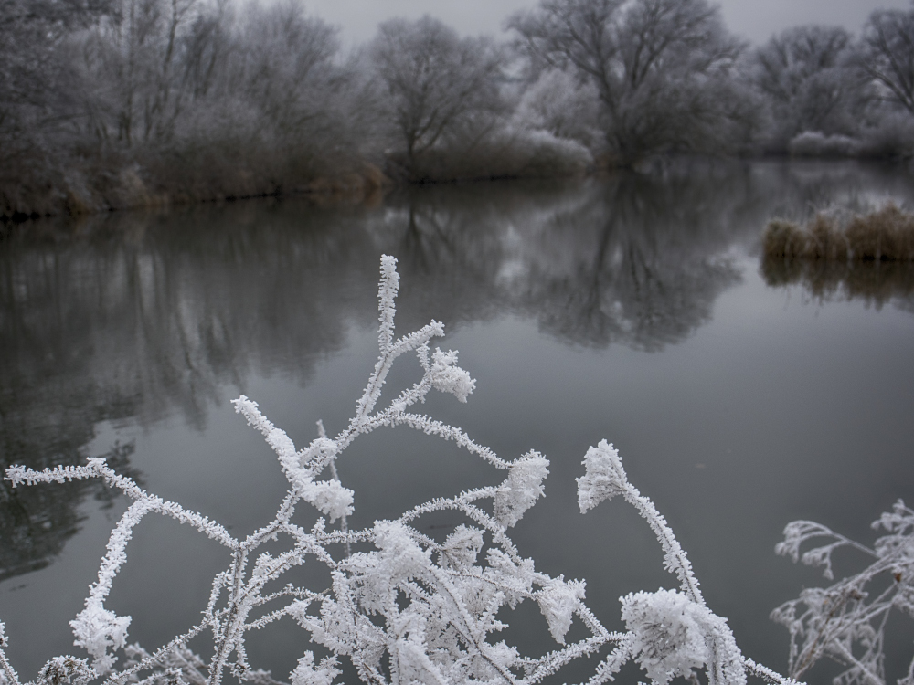 Winterliches an der Lahn ohne Schnee