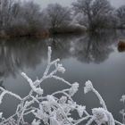 Winterliches an der Lahn ohne Schnee