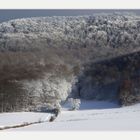 Winterliches aus dem Weserbergland am 5. Jan. 2009