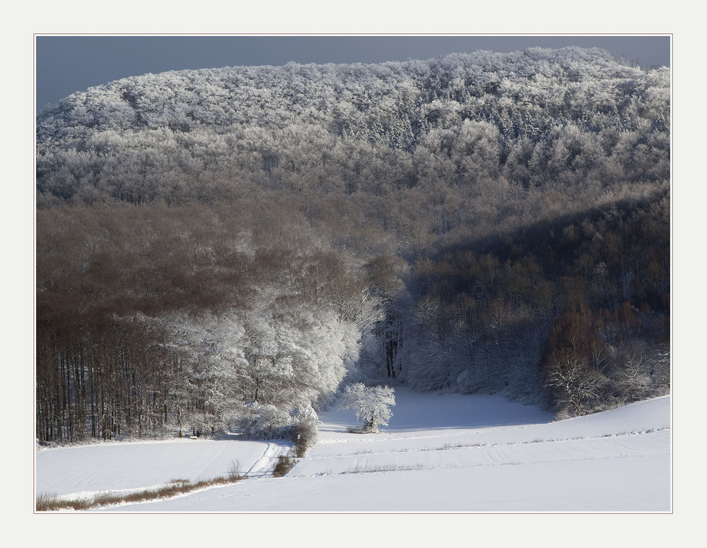 Winterliches aus dem Weserbergland am 5. Jan. 2009