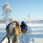 Winterliches aus Finnland