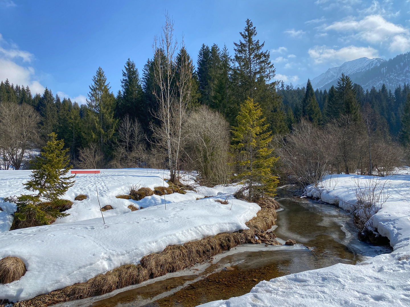 winterliches Bächlein