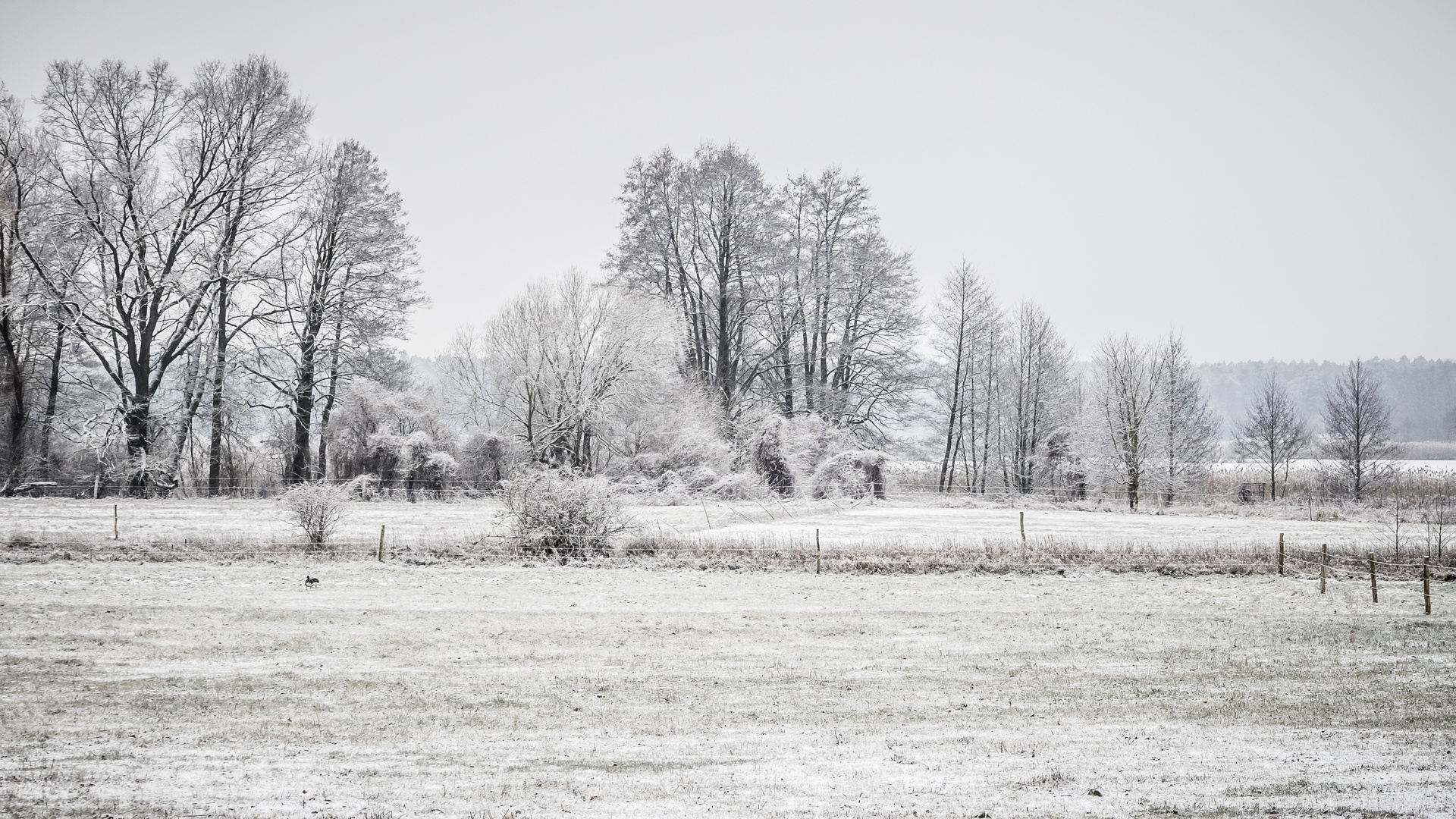 Winterliches Brandenburg