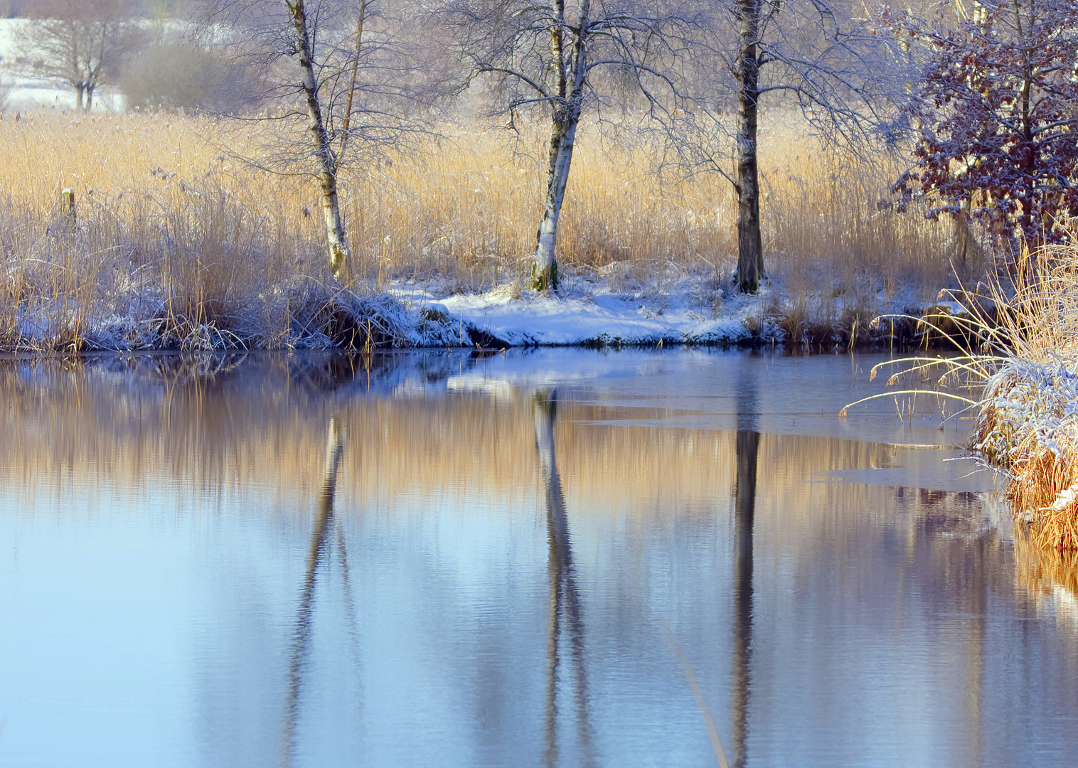 Winterliches Brenner Moor 1