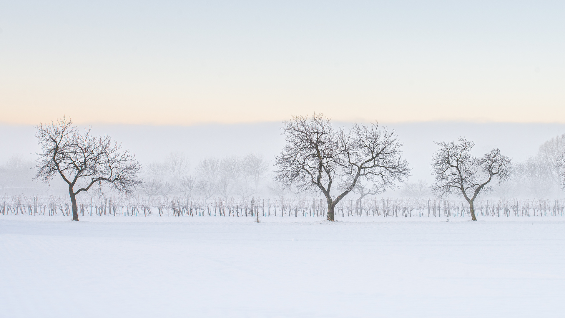 Winterliches Burgenland