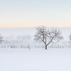 Winterliches Burgenland