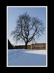 Winterliches Burghausen 050